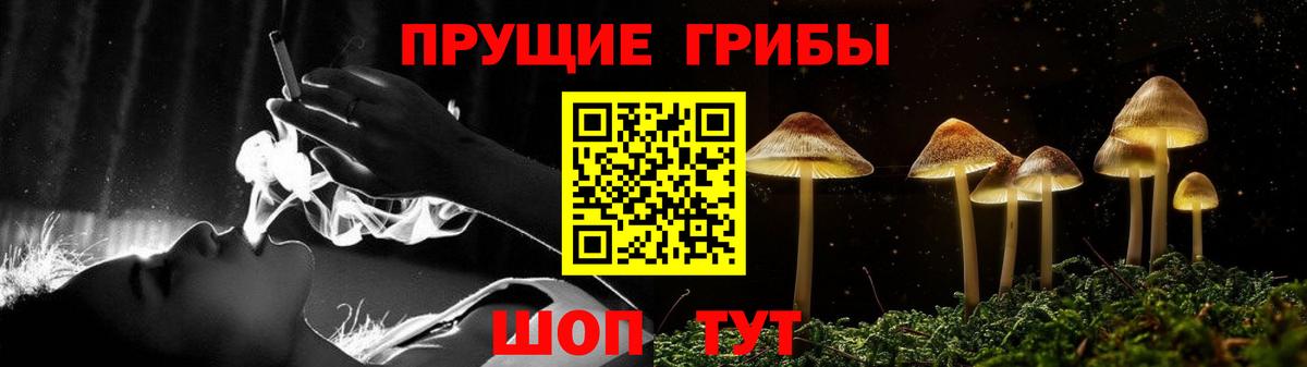 Алексеевка  Галлюциногенные грибы Cubensis  Галлюциногенные грибы Psilocybine cubensis  Вход с VPN 